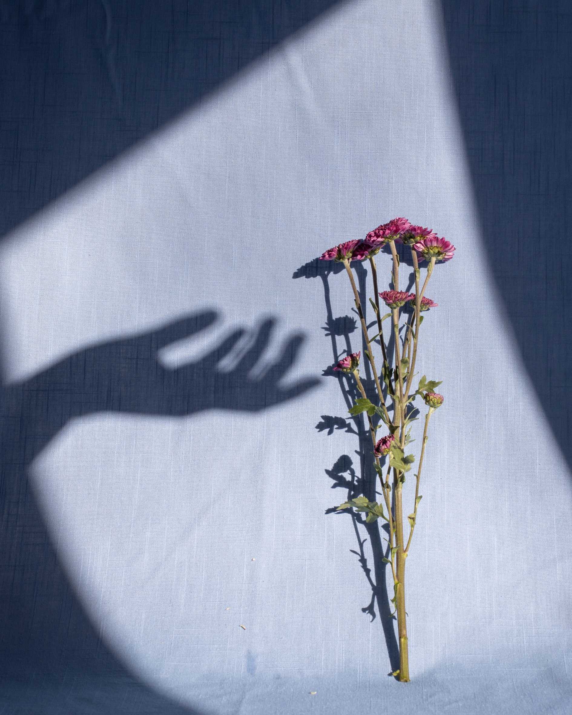 Low angle close up of ballet dancers